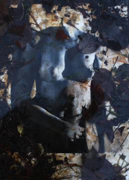 michael koehler art photography