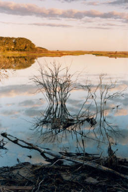 michael koehler art photography