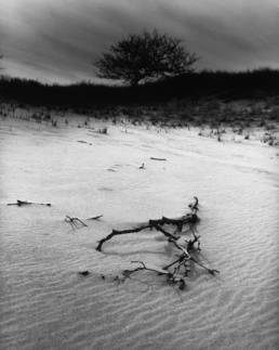 michael koehler art photography
